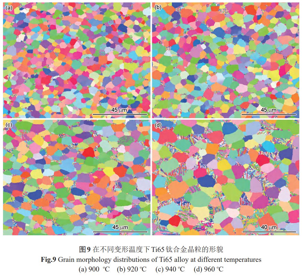 1765683522448552.jpg 9.jpg