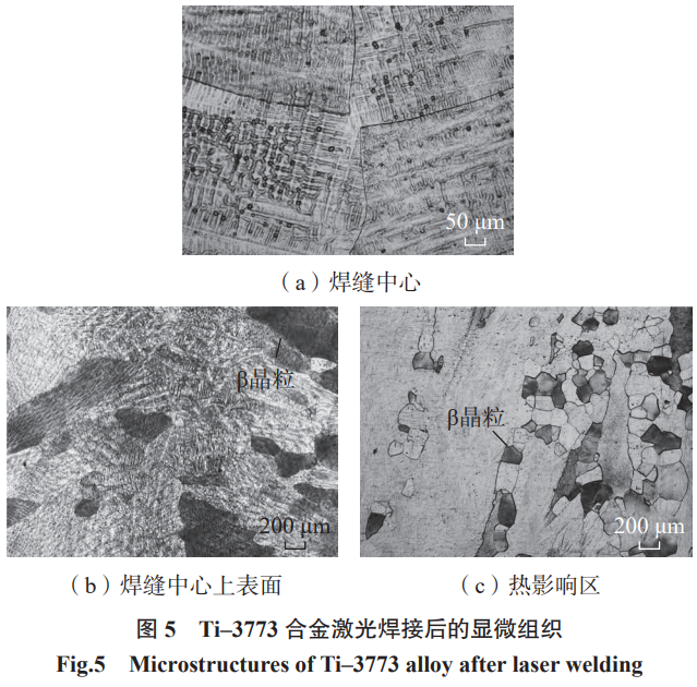 1772009386463180.png 5.png