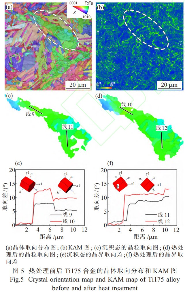 1772674616631517.jpg 5.jpg