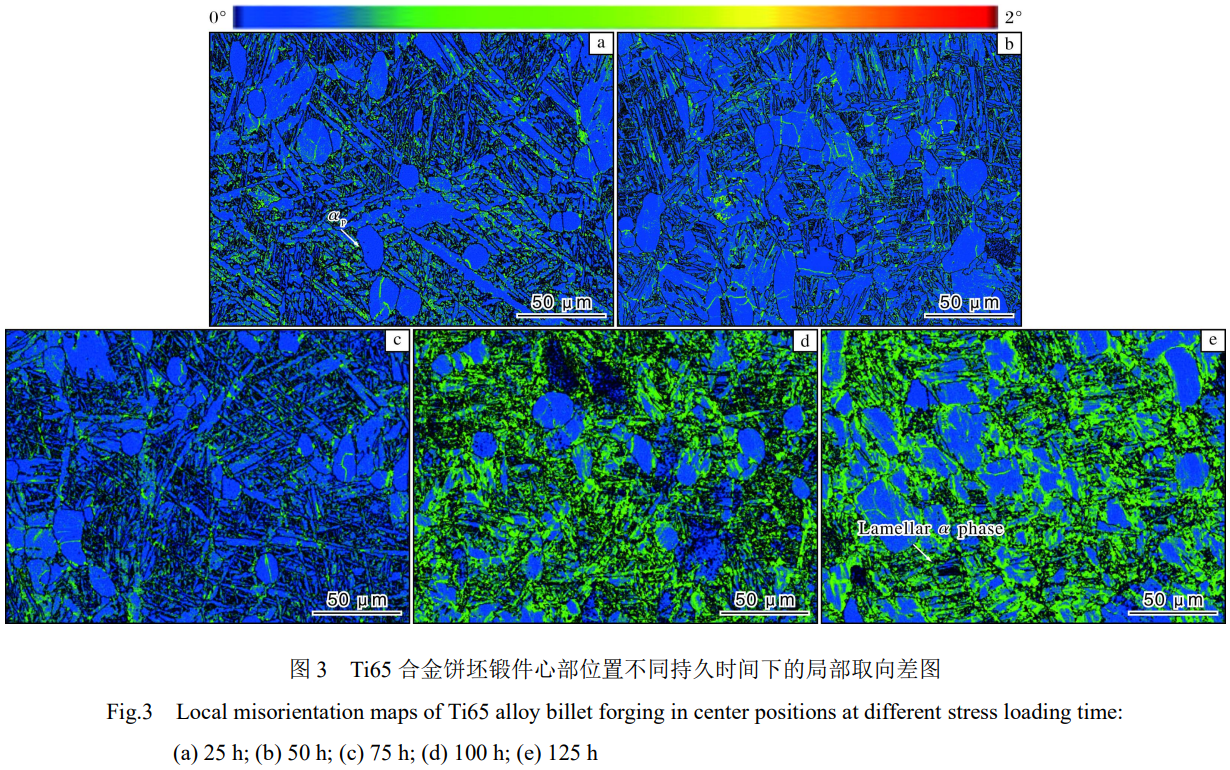 1773199676158594.png 3.png