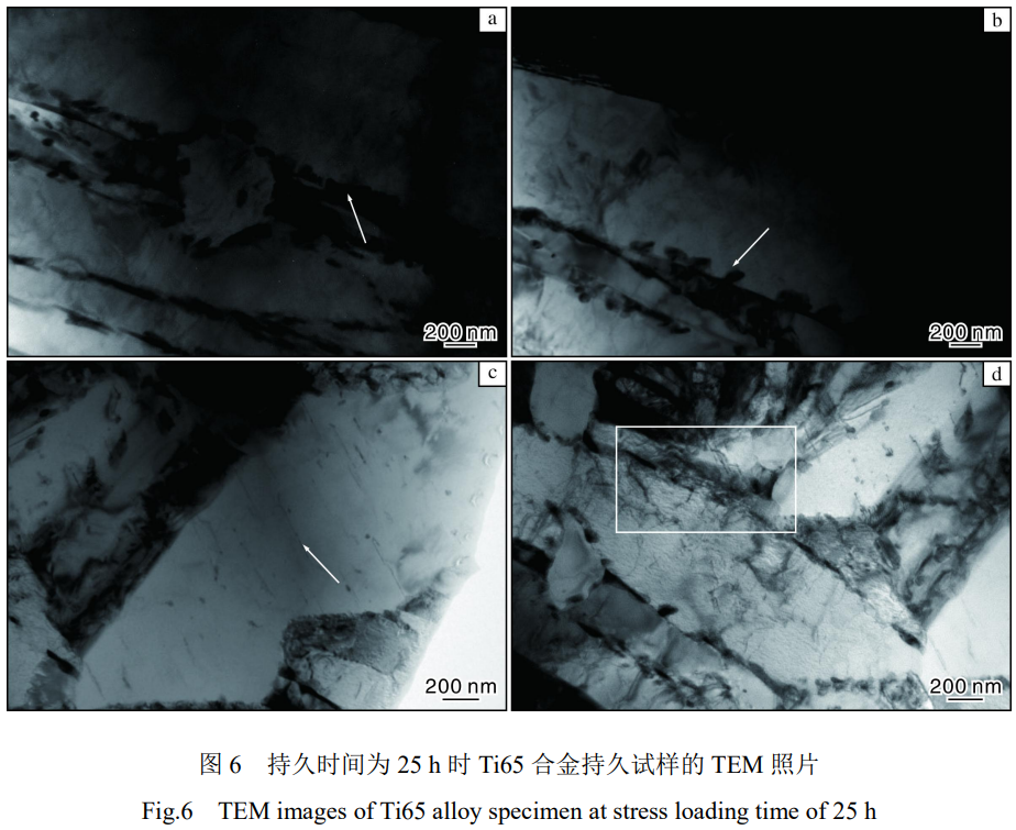 1773199709160786.png 6.png