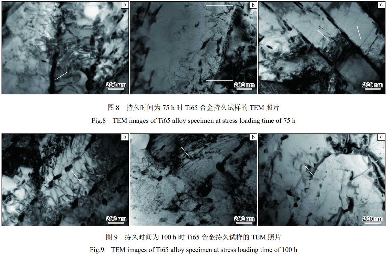 1773199729367535.png 8-9.png